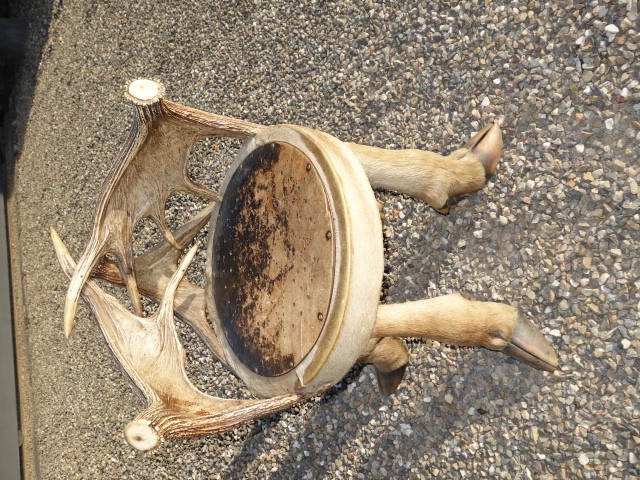 Chair with Moose Antlers and Feet