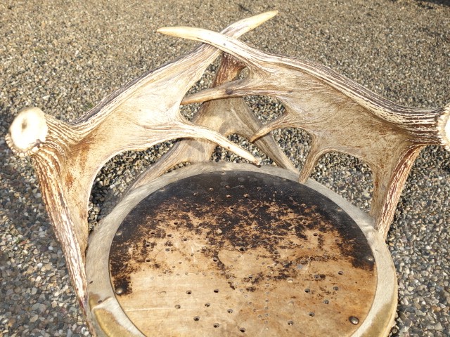 Chair with Moose Antlers and Feet