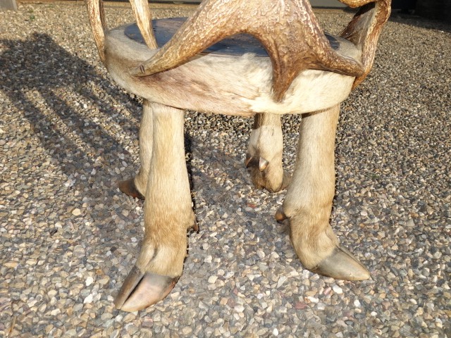 Chair with Moose Antlers and Feet