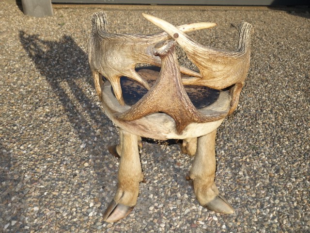 Chair with Moose Antlers and Feet