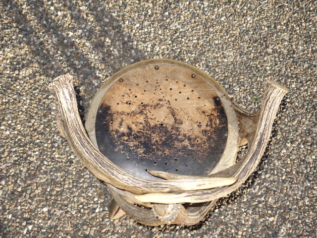 Chair with Moose Antlers and Feet