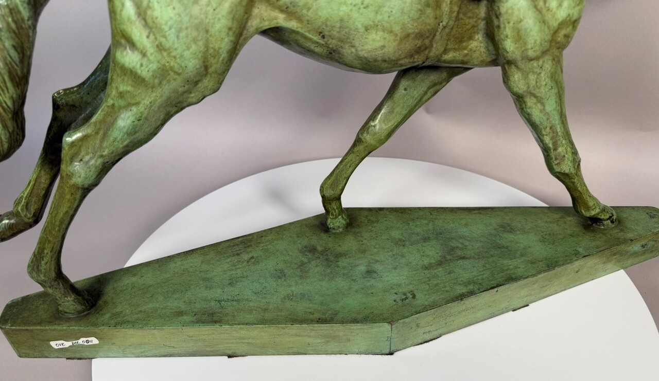 The jockey by Thierry van Rijswijck